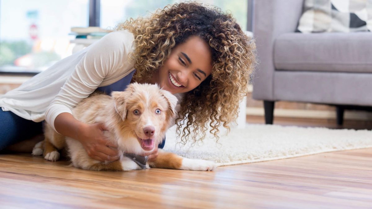 Dicas para criar pets no seu apartamento